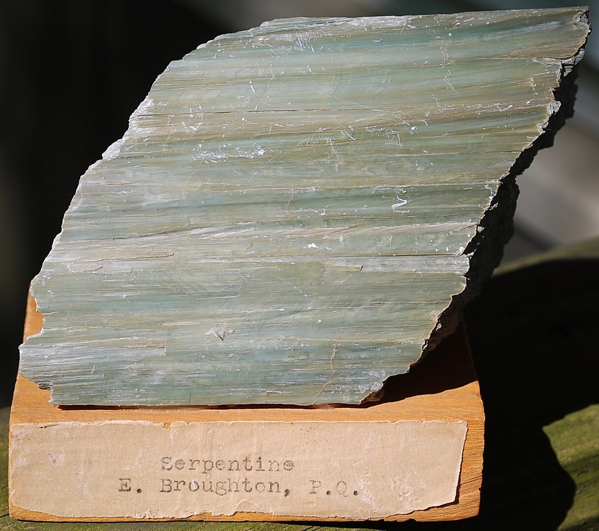 Natural GREEN SERPENTINE STONE Mineral MUSEUM NMBR SPECIMEN Quebec MOUNTED 4.25″