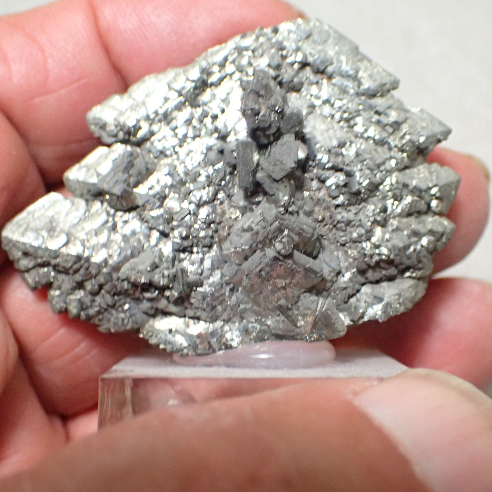 Marcasite, Nove Sedlo, Czech Republic