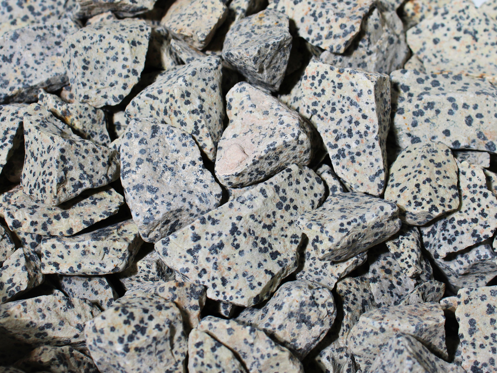 Dalmatian Jasper – Rough Rocks for Tumbling – Bulk Wholesale 1LB options