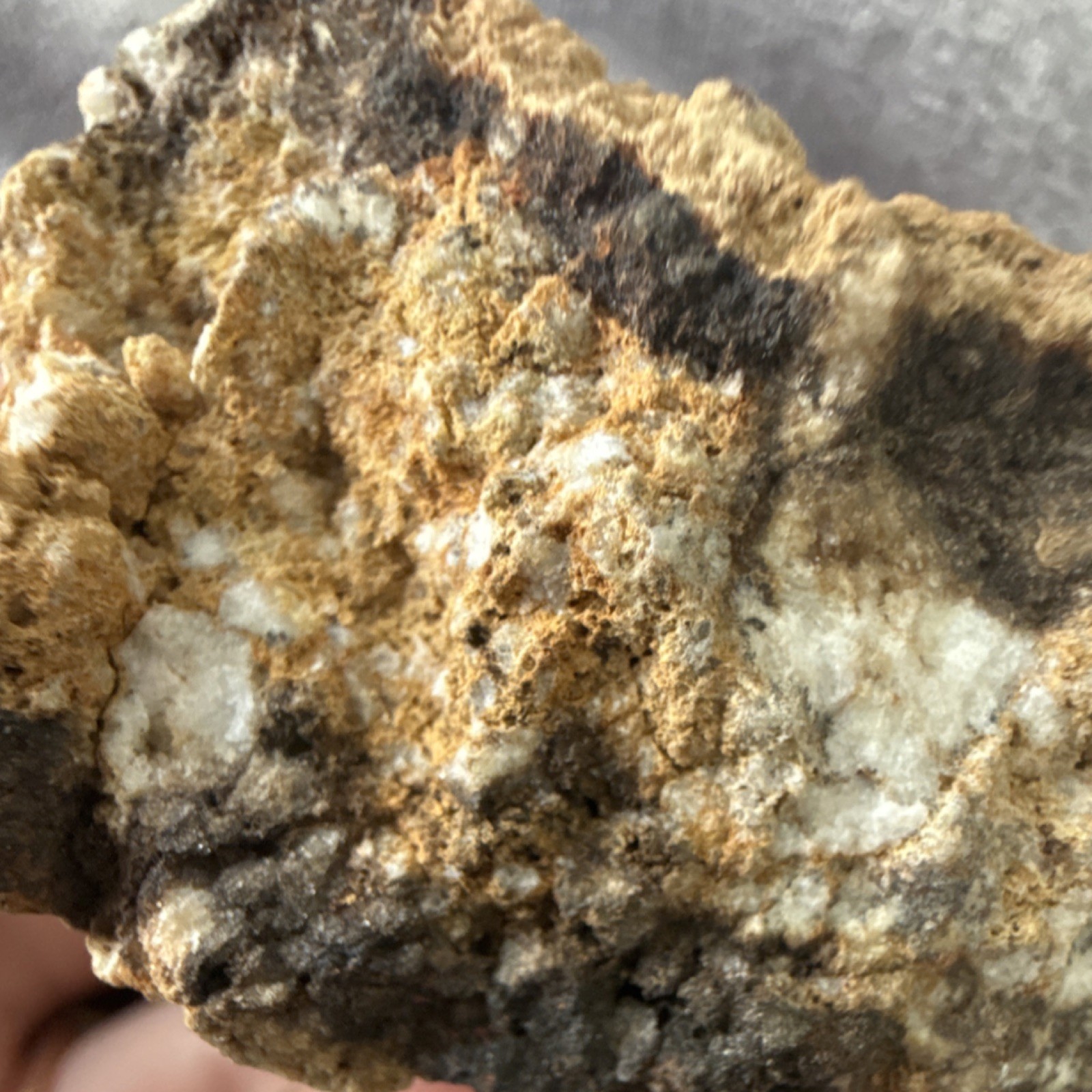 Brown and White Rough Mineral Specimen Display Rock