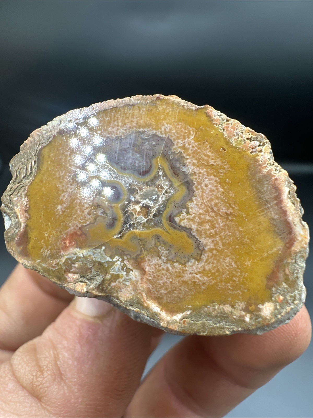 Kentucky Agate Polished Specimen Collector Grade Yellow Moss