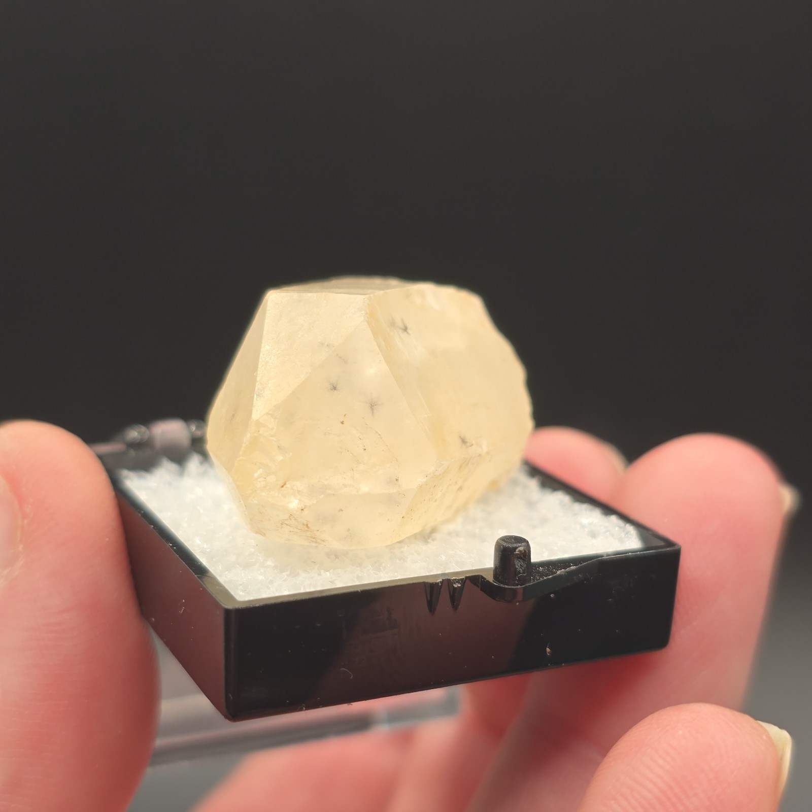 Hollandite Spider Quartz Point Crystal Madagascar Gemstone Specimen in Perky Box