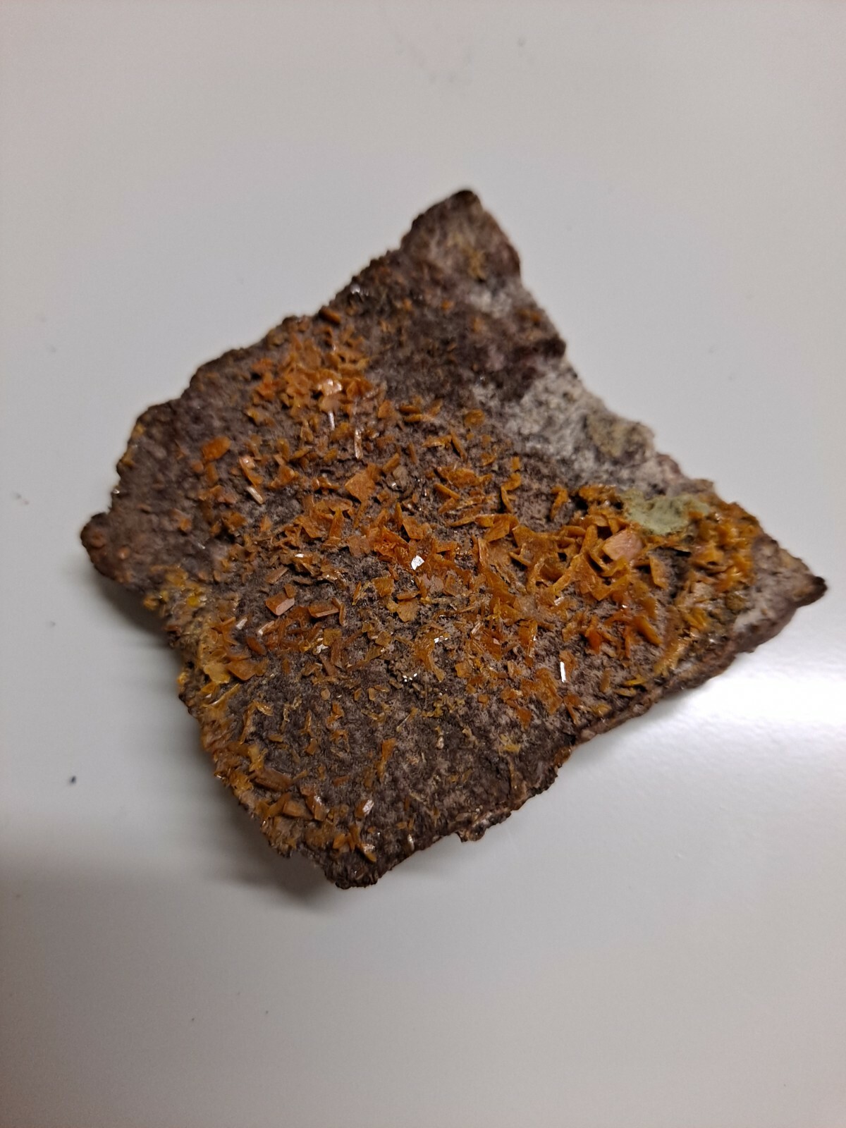 Wulfenite Crystals 2.5 x 2.25 x .5 inches