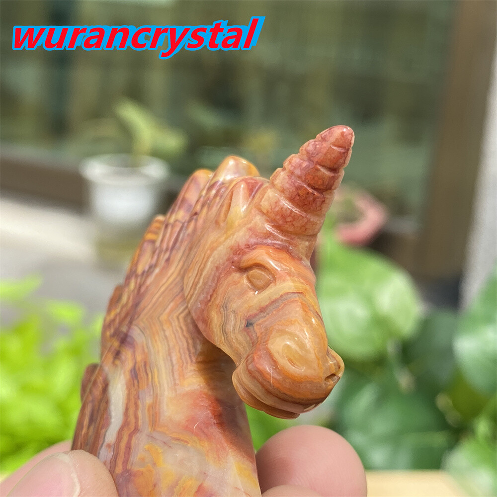 1pc Natural crazy agate unicorn skull quartz crystal carved reiki healing 2”