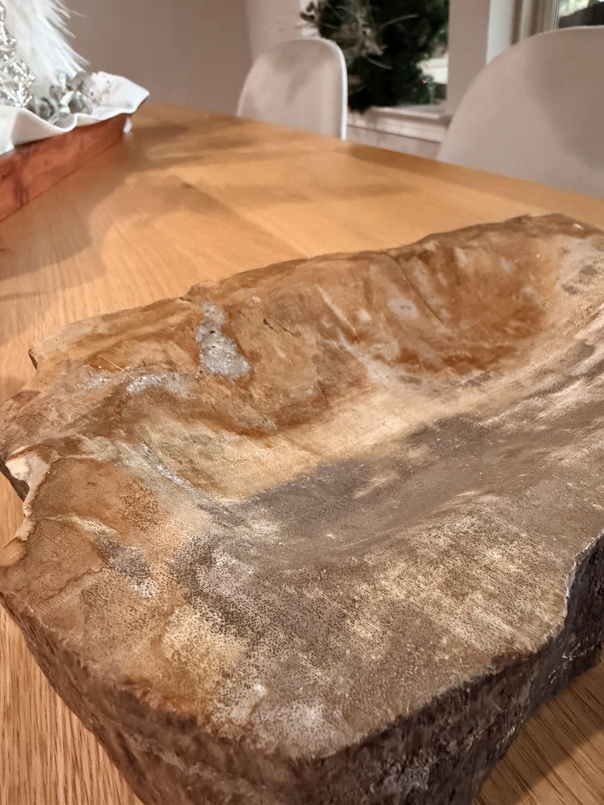 Large Petrified Wood carved And Polished Bowl 8.5 Amazing Statement Art