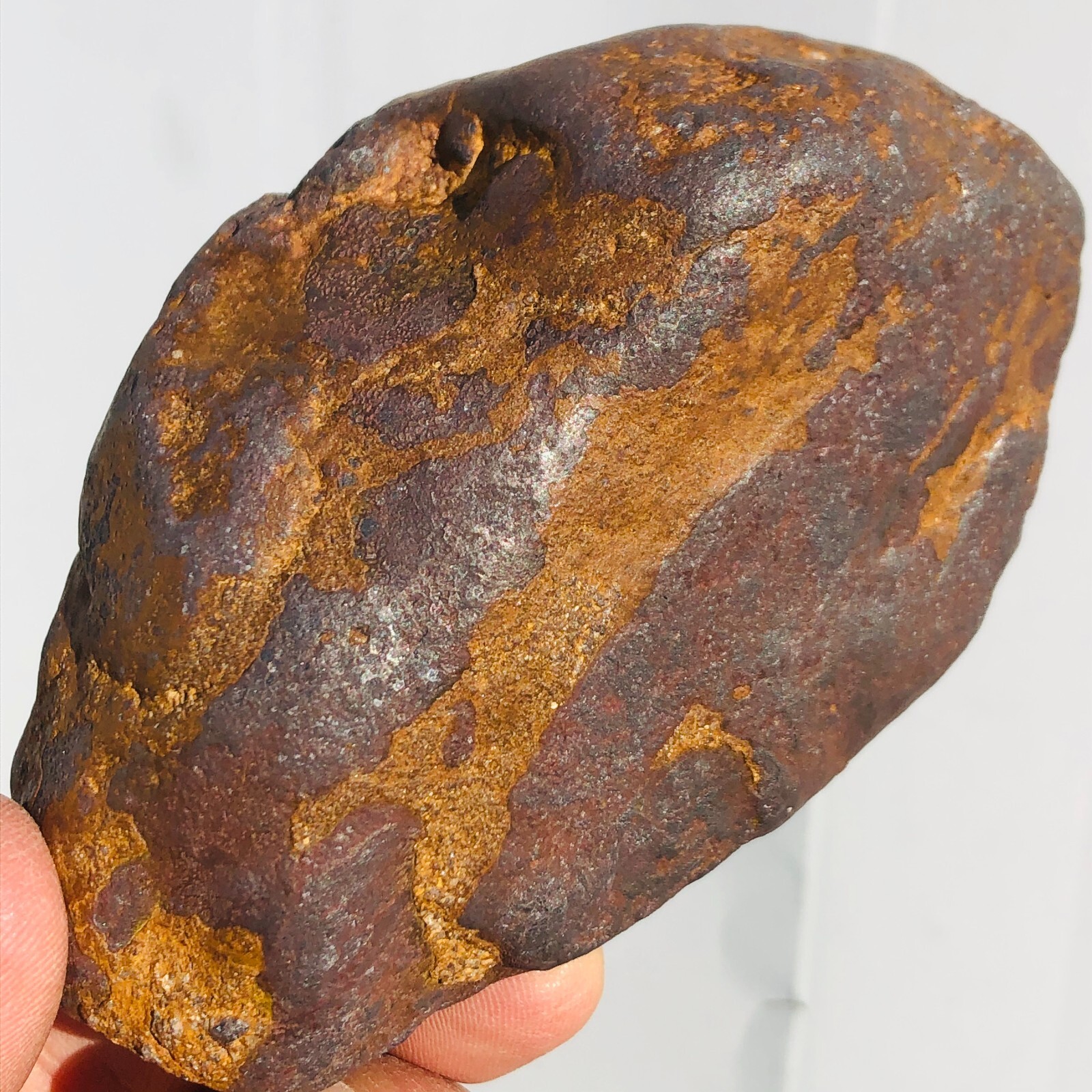 1.62lb STONY IRON H CHONDRITE METEORITE Polished Carved Space Rock Specimen
