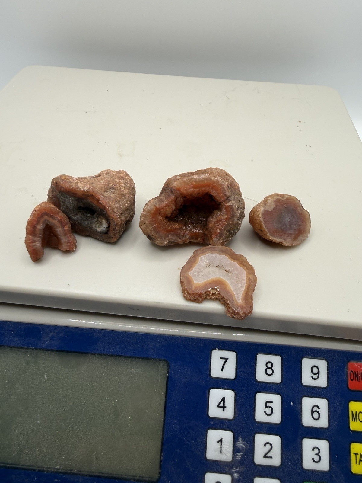 Mexico Coyamito laguna Agate lapidary nuggets 1 pound lots