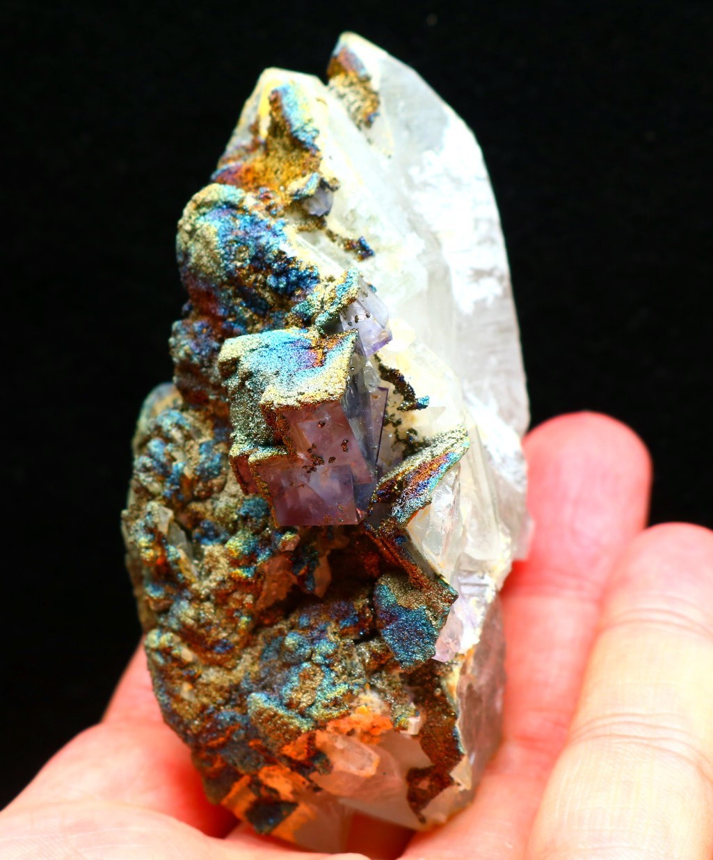202.5g Natural purple Cubic fluorite Seven-color pyrite mineral specimen