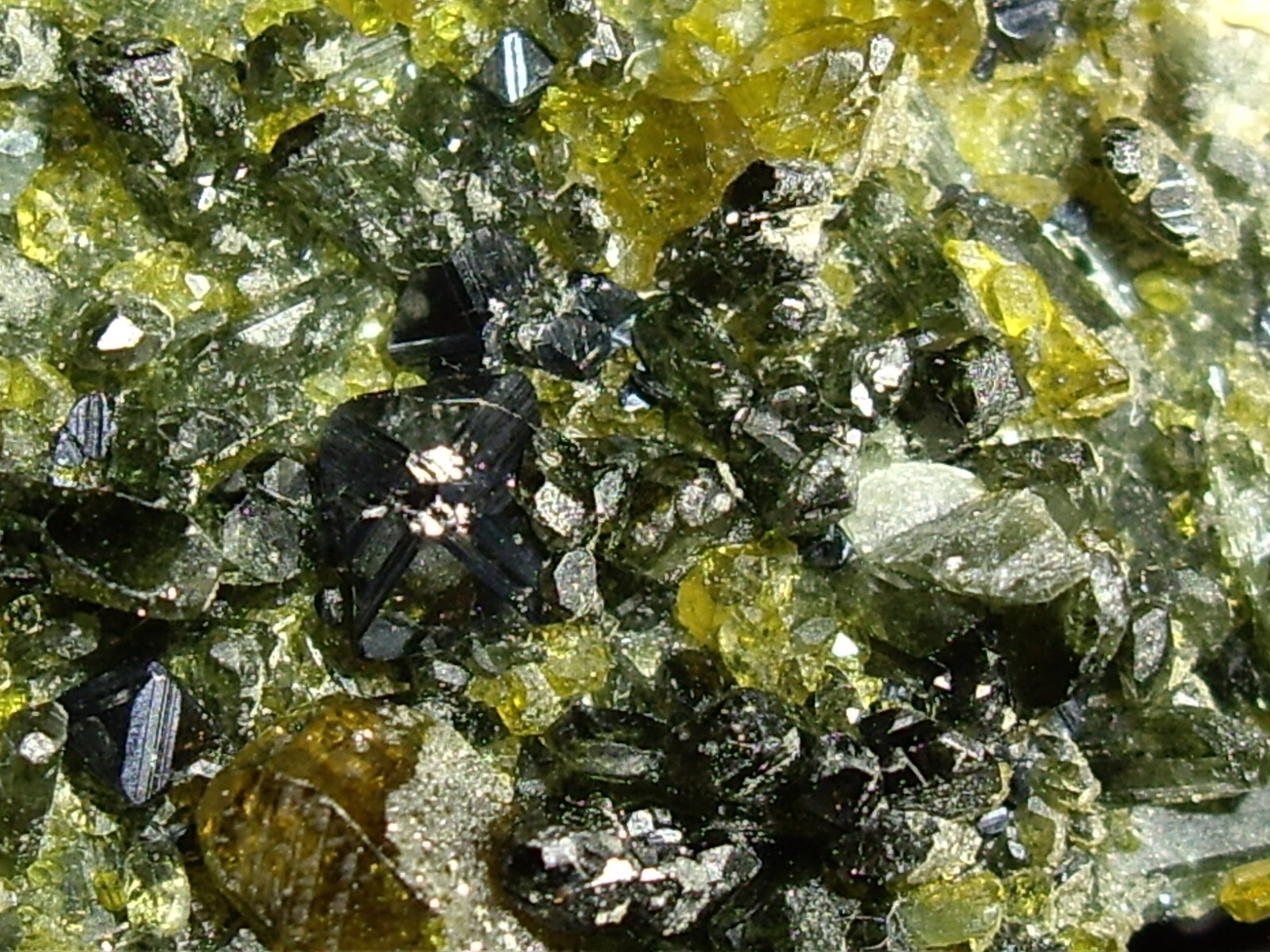 Awesome Magnetite, Vesuvianite, Garnet, and Diopside Crystals on Matrix 23.3g