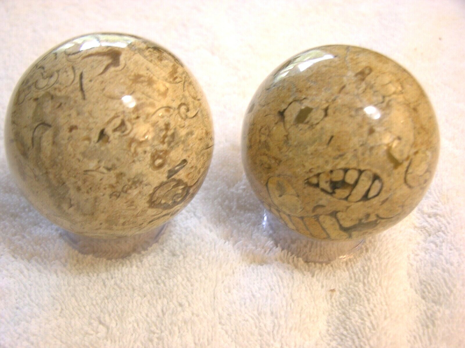 Fossil stone spheres 3 inch diameter with stands 2 sphere lot fs18