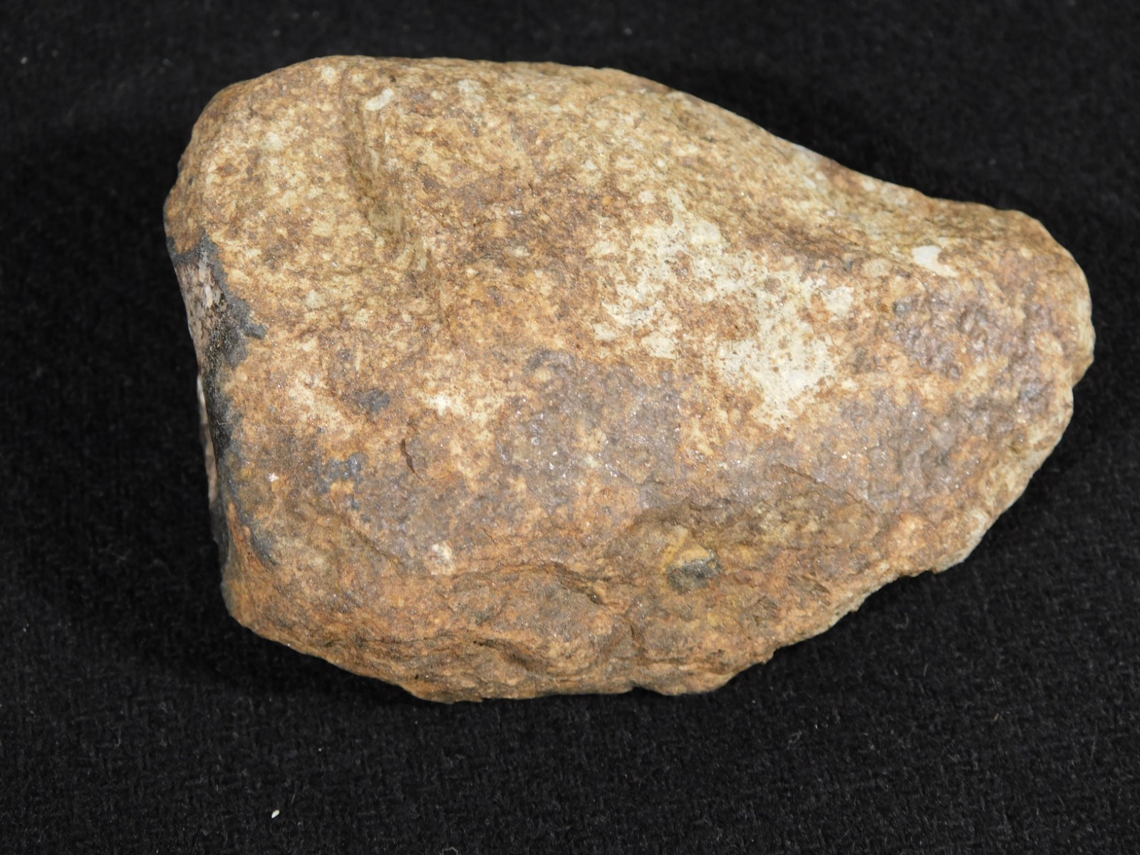 Larger Classified NWA 8245 METEORITE 100% Natural! Erfoud, Morocco 207gr