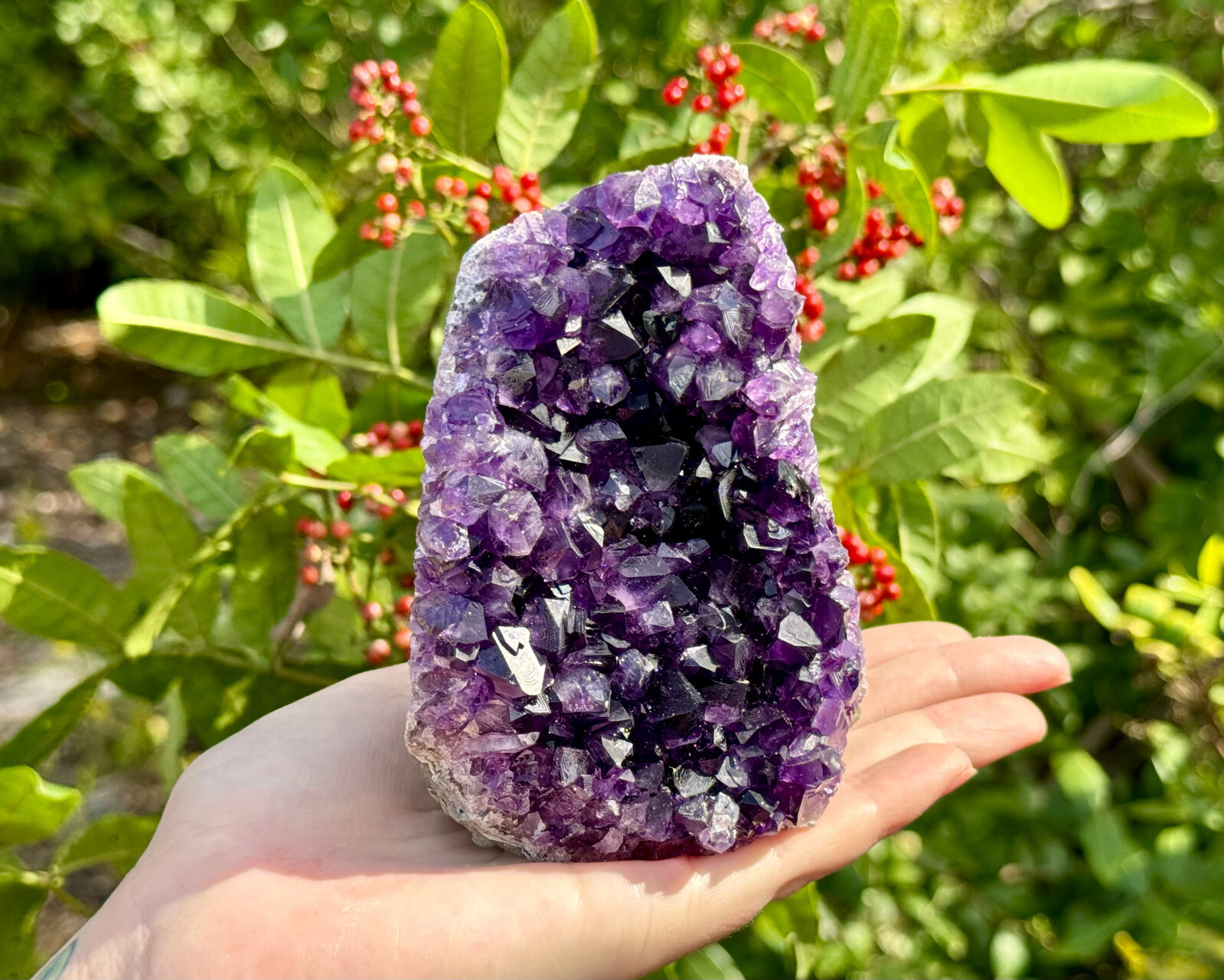 Amethyst Druze Crystal Cluster Cut Base Natural Goede Specimen: You Choose Size!
