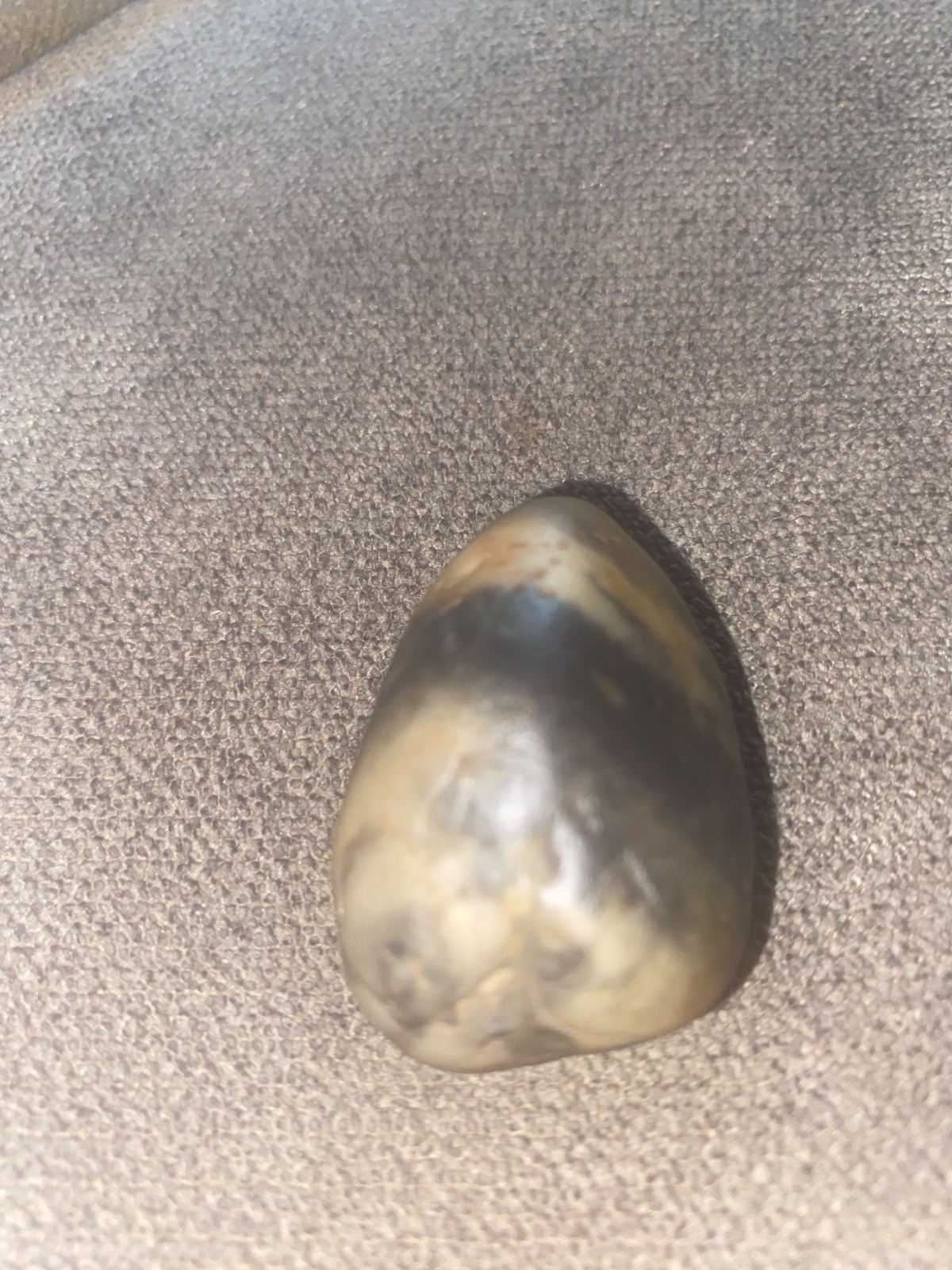Beautiful river tumbled raw spider Jasper