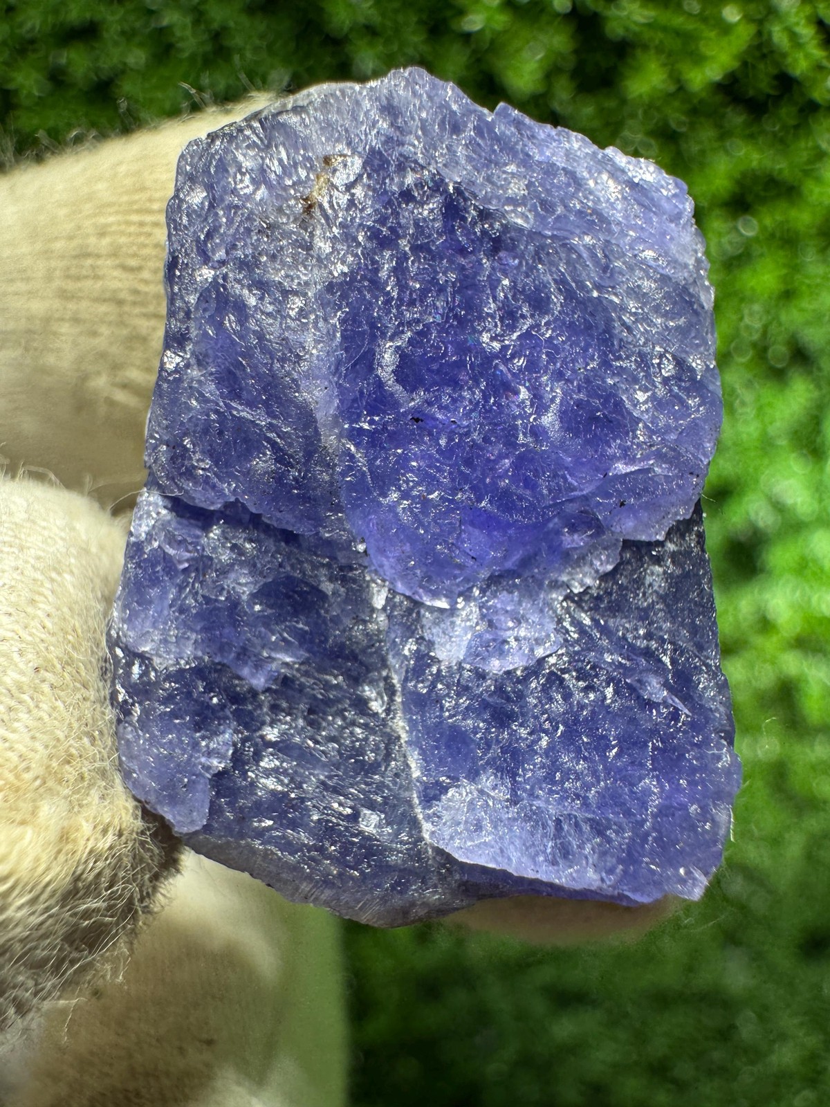 Awesome TANZANITE Crystal with COLOR CHANGE under yellow/white light / N381