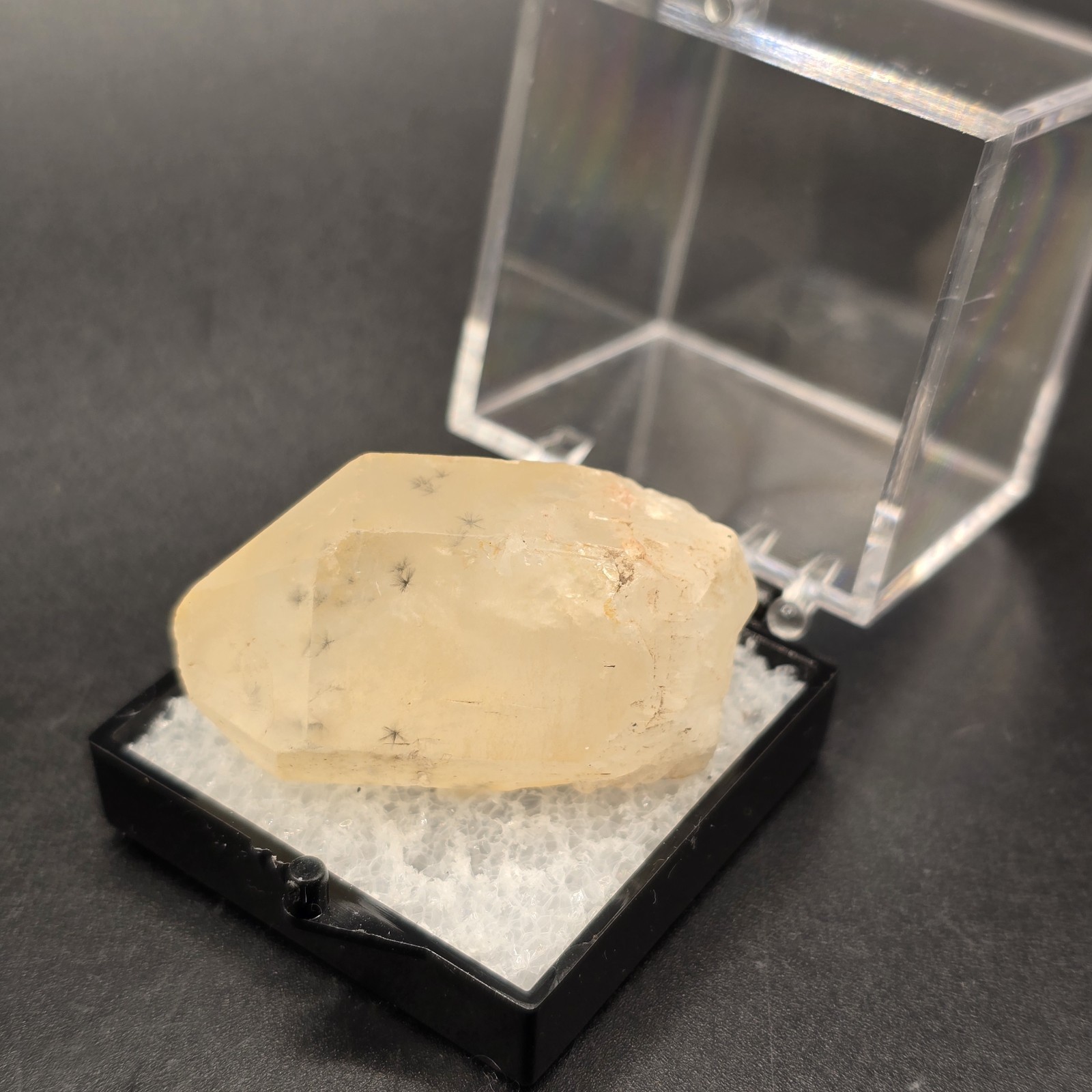 Hollandite Spider Quartz Point Crystal Madagascar Gemstone Specimen in Perky Box