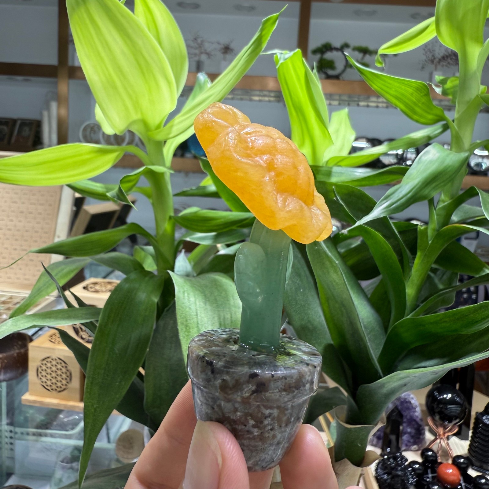 3.3″ natural geode stone Sunflower quartz Crystal Healing Energy Decor