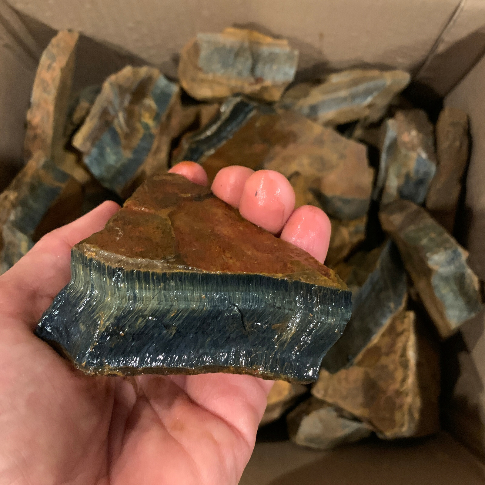 LARGE BLUE Tiger Eye Rough – 5,000 Carat Lot + a FREE Faceted Gemstone (V. RARE)