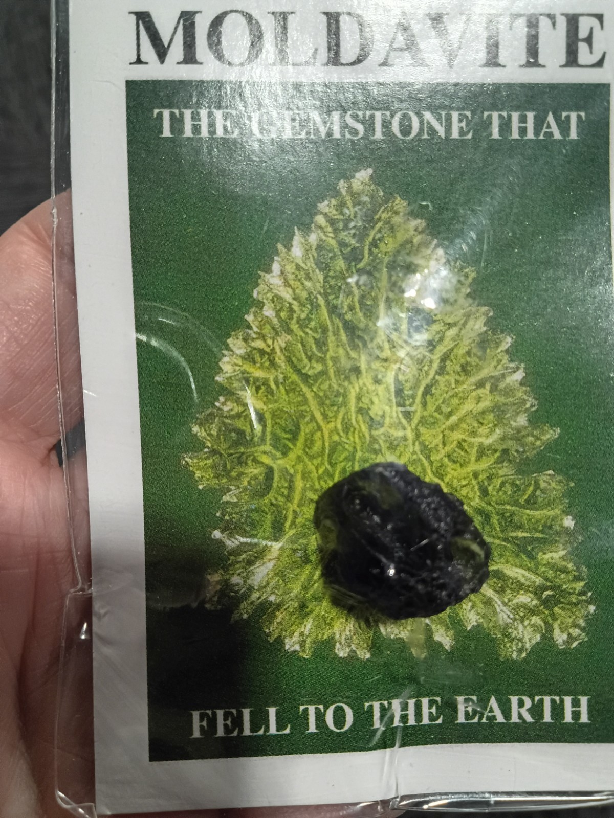 3.9g Czech Moldavite Specimen Ships From Arizona