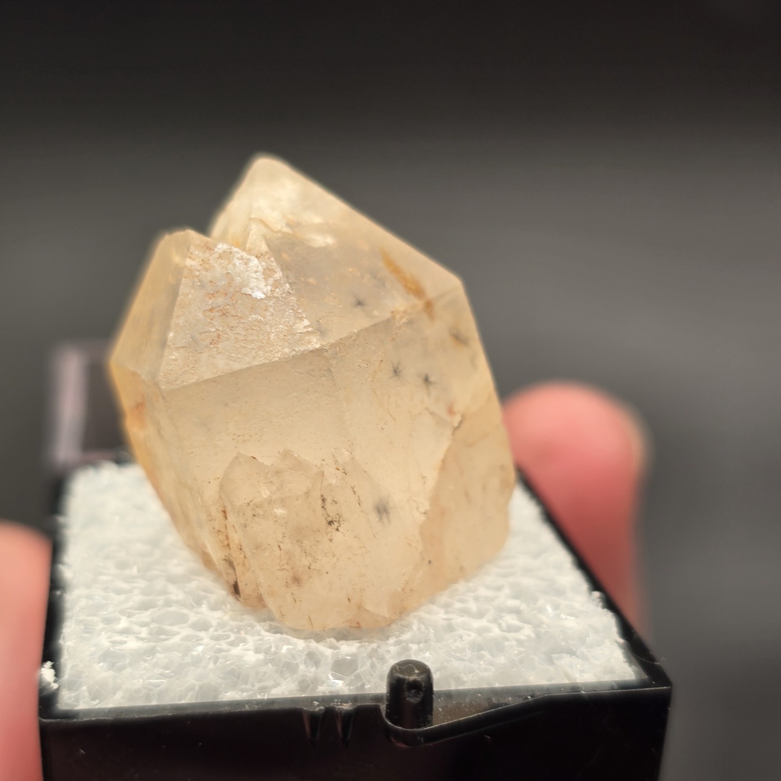 Hollandite Spider Quartz Point Crystal Madagascar Gemstone Specimen in Perky Box