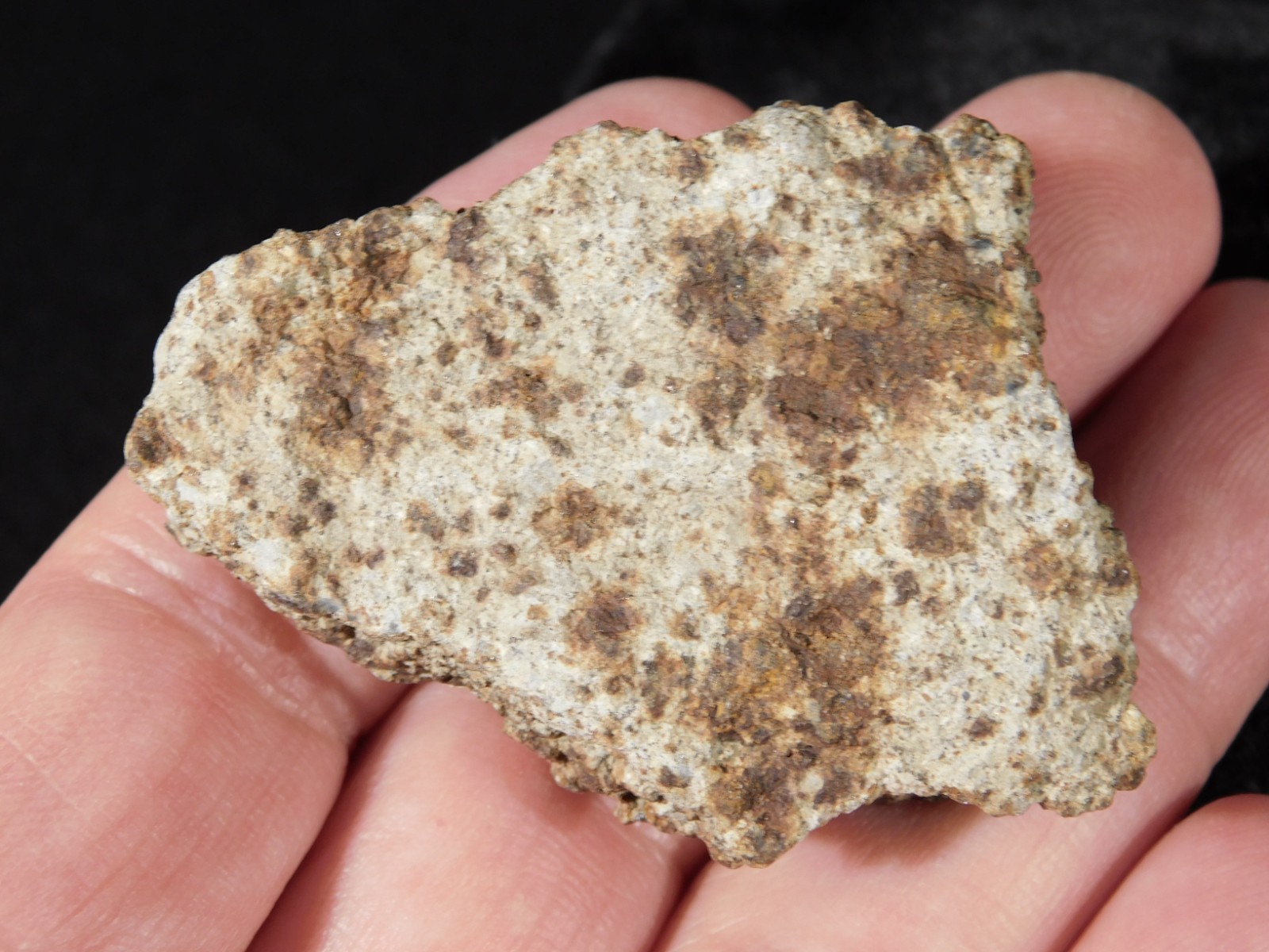 Classified NWA 8245 METEORITE Spots of Dark Fusion Crust! Erfoud, Morocco 51.6gr
