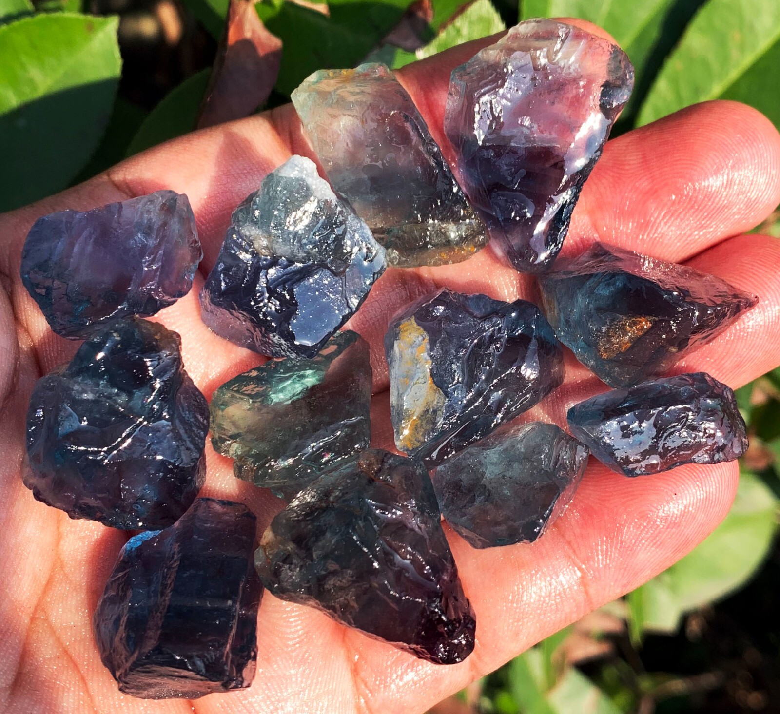 87g 12PC TOP! Natural Fantastic Blue Fluorite Crystal Specimen ic012