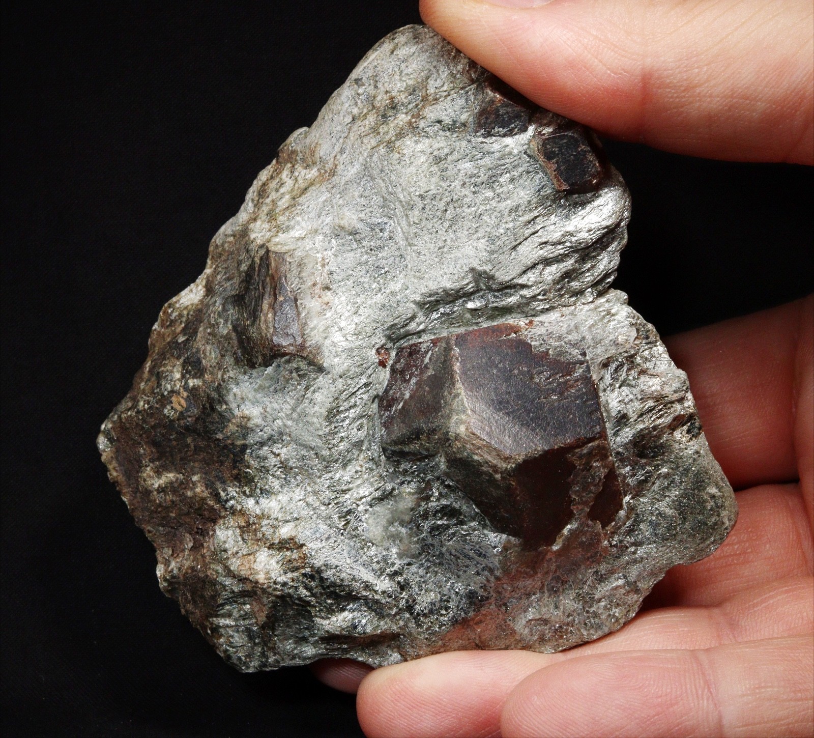 Large Almandine Garnet Crystals in Mica Schist from Tyrol, Austria