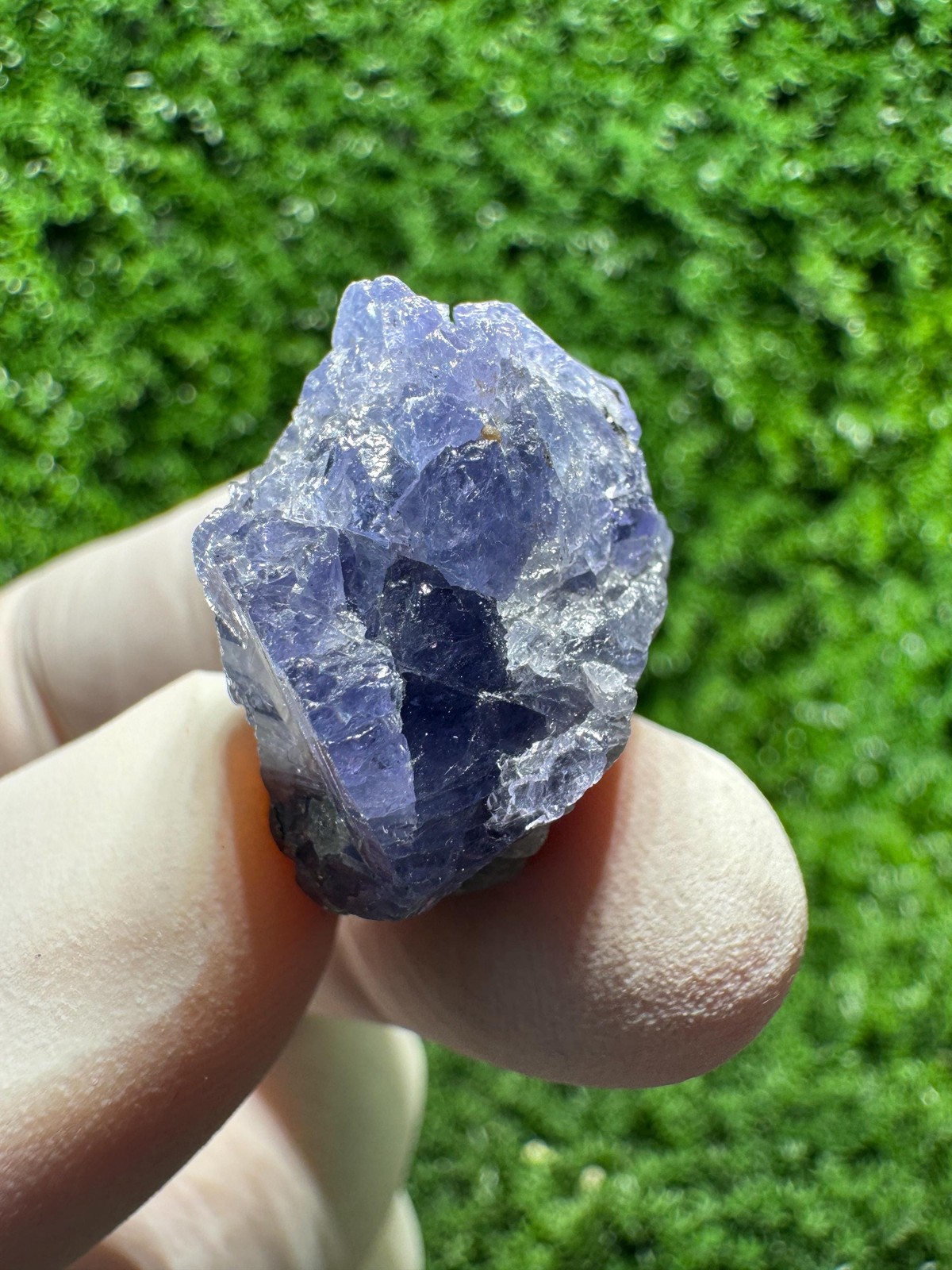 Lovely TANZANITE Crystal with COLOR CHANGE under yellow/white light / N759