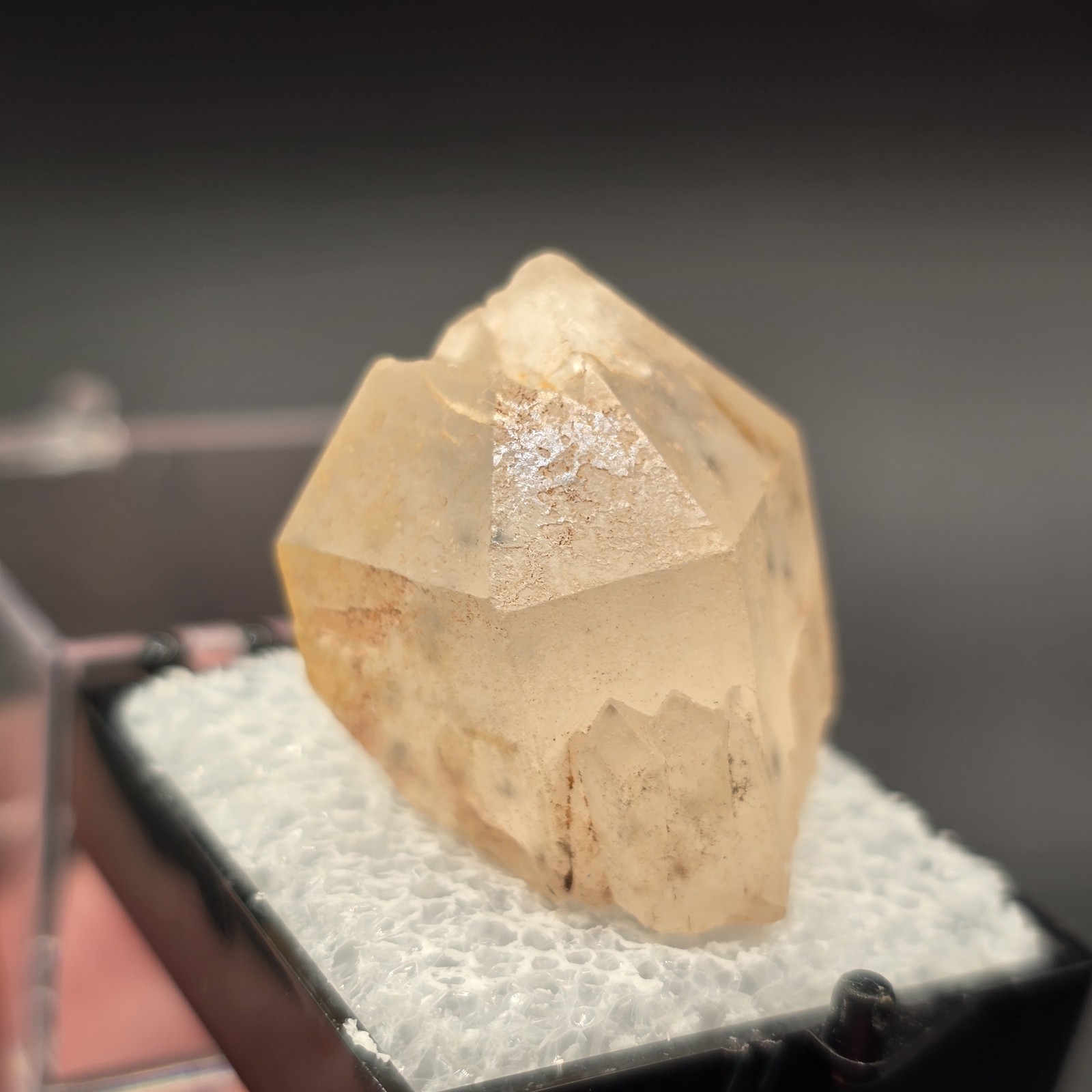 Hollandite Spider Quartz Point Crystal Madagascar Gemstone Specimen in Perky Box