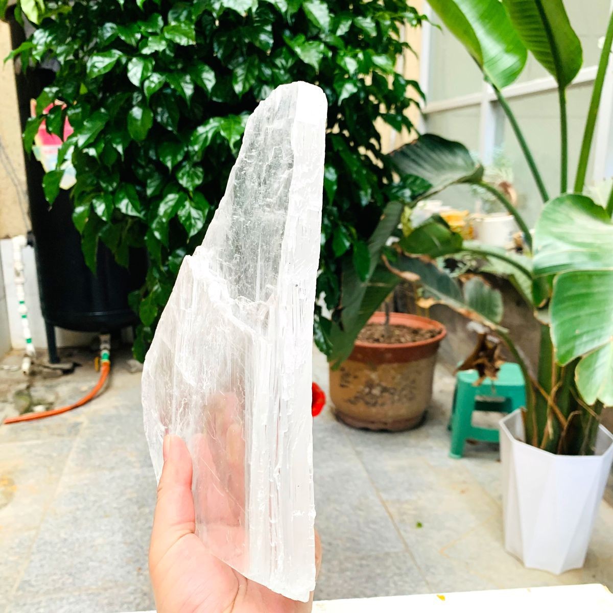 3.59LB Natural Clear Transparent Selenite Slab Gypsum Crystal Mineral Specimen