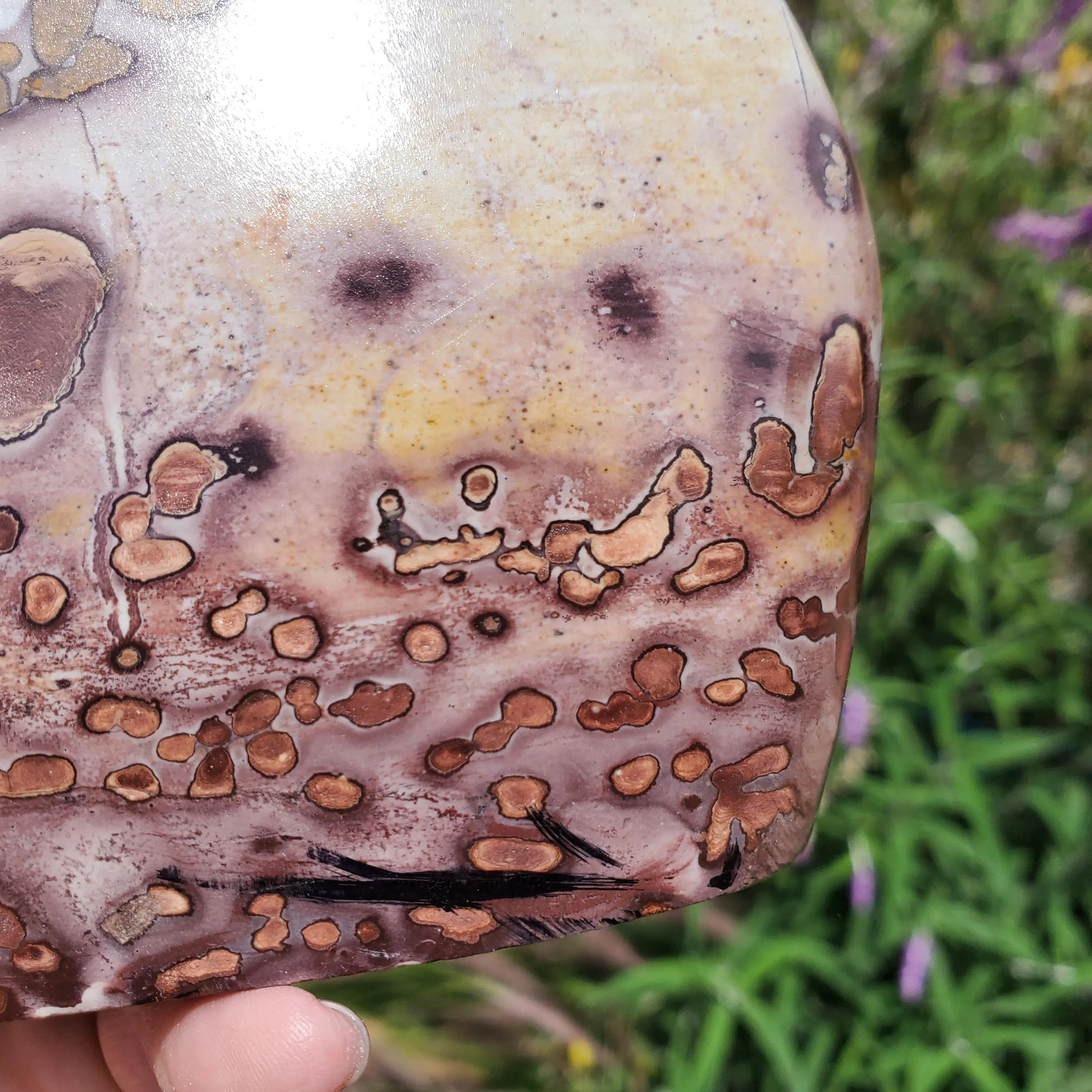 Picture Stone Jasper Dendritic Dendrite Display Freeform | 3lbs 1oz | 1330 Gram