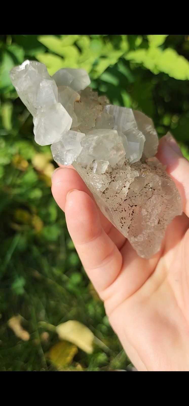 ✨️”Benz” Calcite On Fluorite With Chalcopyrite- Wenshan China✨️