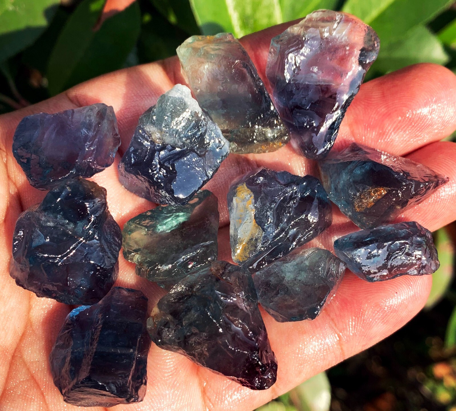 87g 12PC TOP! Natural Fantastic Blue Fluorite Crystal Specimen ic012