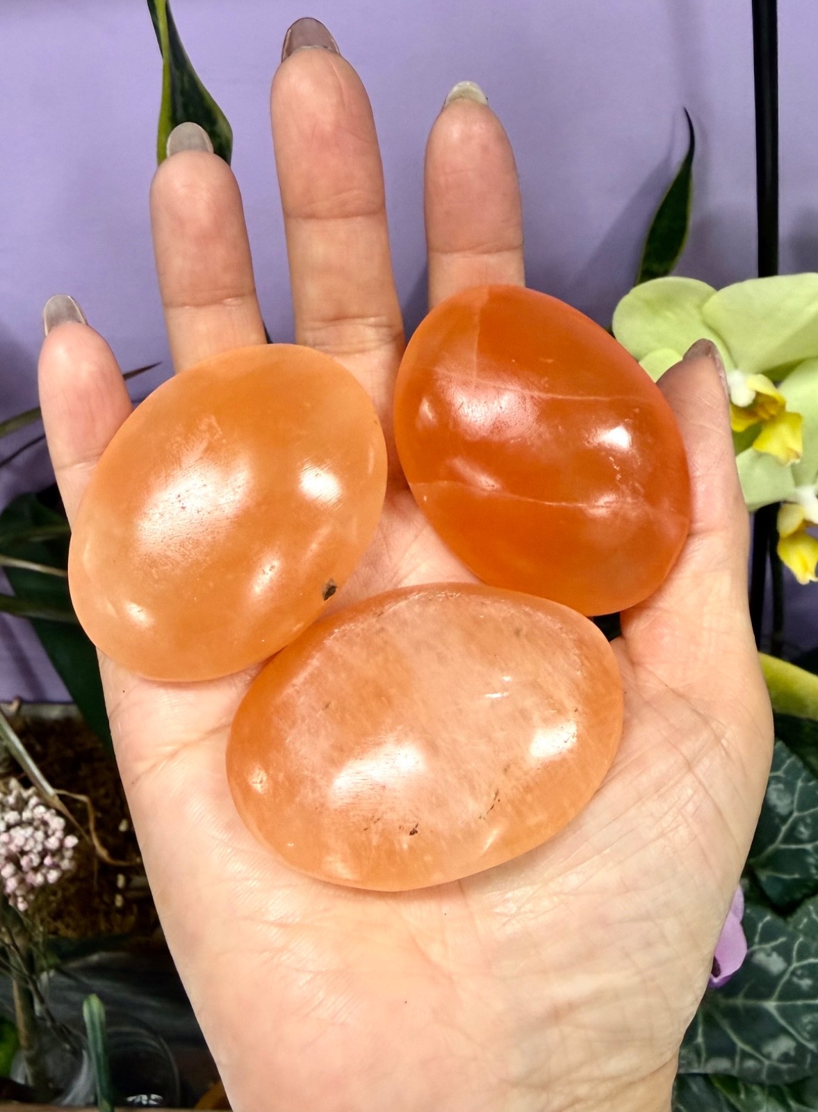 Wholesale Lot 12 PCs Peach Selenite Aka Satin Spar Palm Stone Natural Crystal