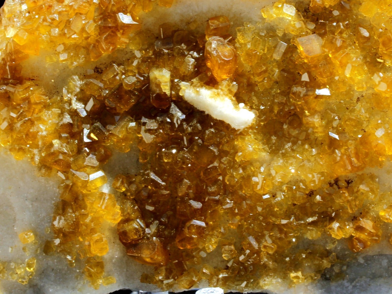 3.0Lbs Super Bright Golden Barite Crystals on White Quartz Mineral Specimen!
