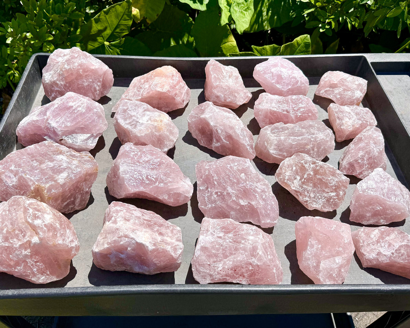 JUMBO Rose Quartz Natural Raw Crystals – Choose Size Huge Chunks (Love Stone)