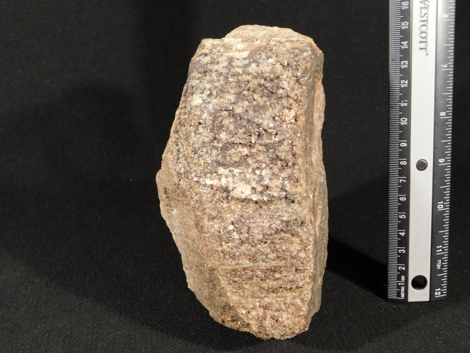 Big! Petrified Wood Fossil With SMOKY Quartz CRYSTALS Utah 2362gr