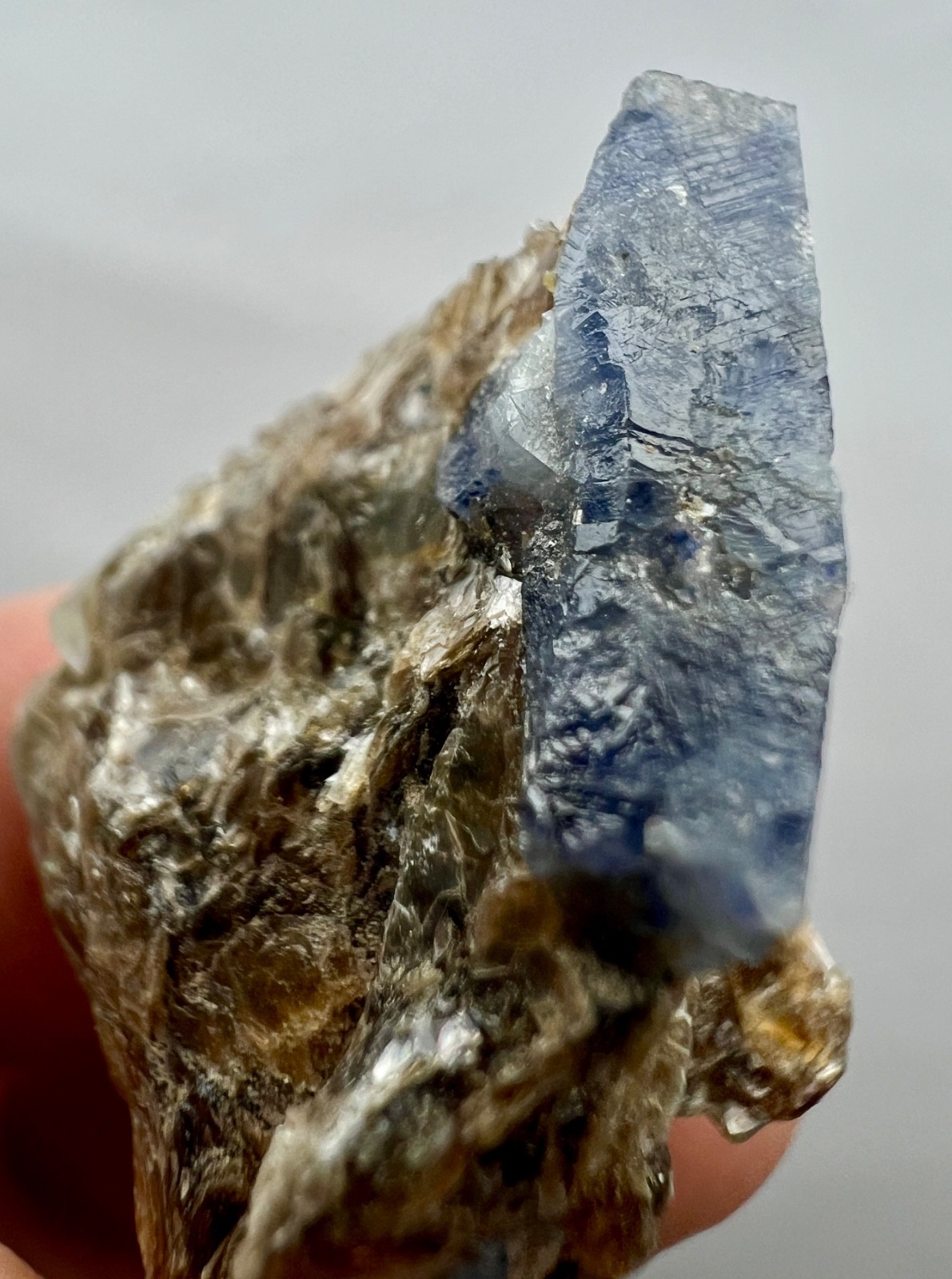 58ct.Natural Blue Sapphire Crystal Cluster on Mica Matrix – Afghanistan Specimen