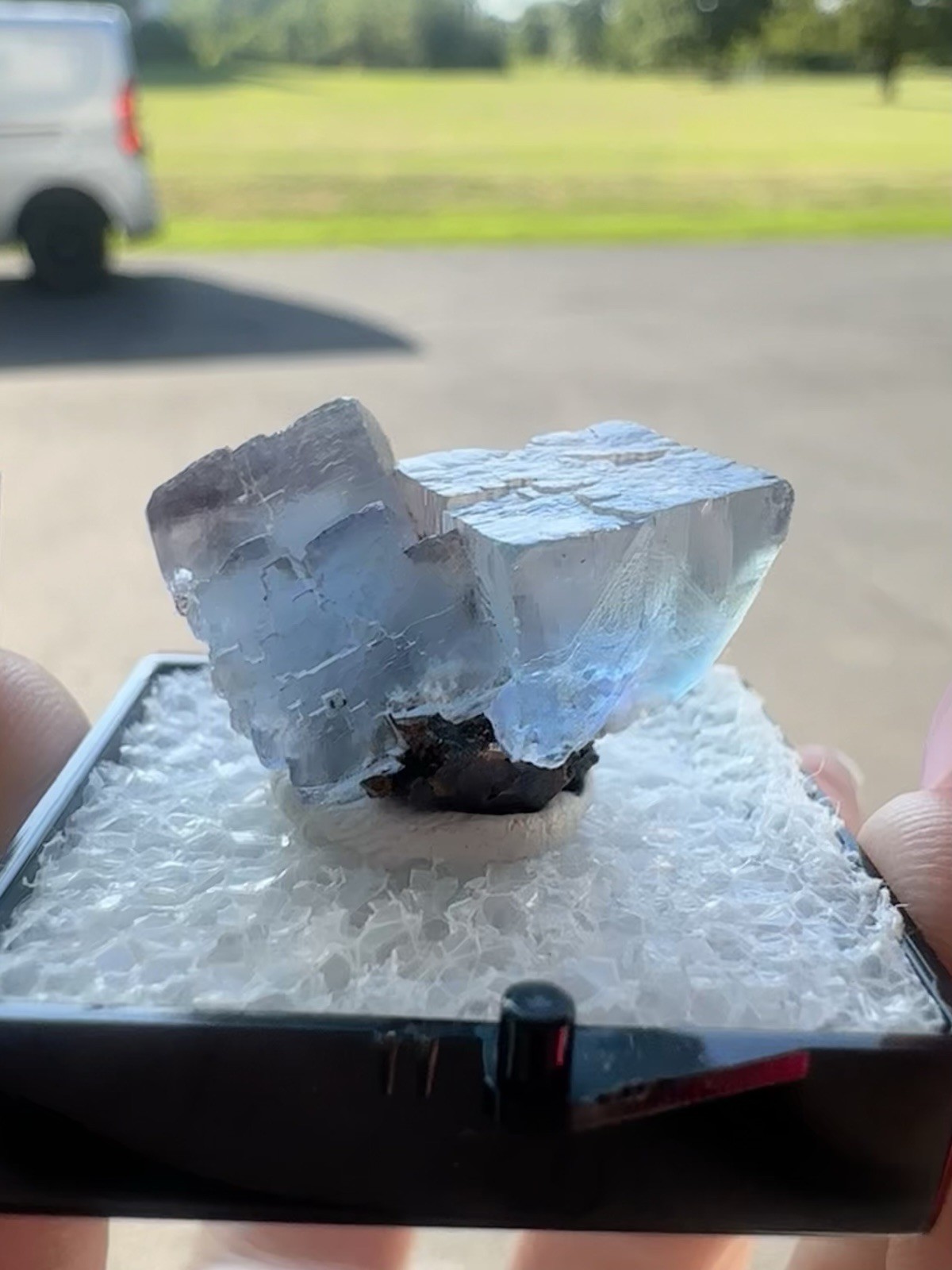Blue Fluorite, Minerva No. 1 Illinois