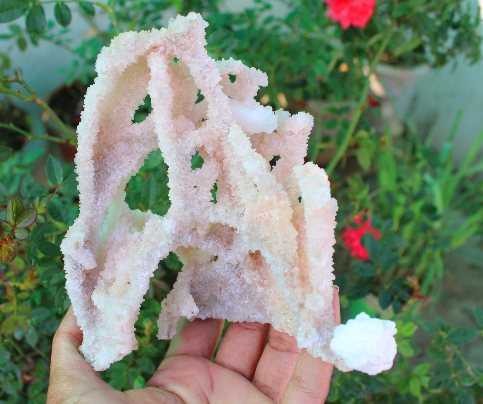 Apophyllite Crystals With Chalcedony Coral Minerals Specimen #A9