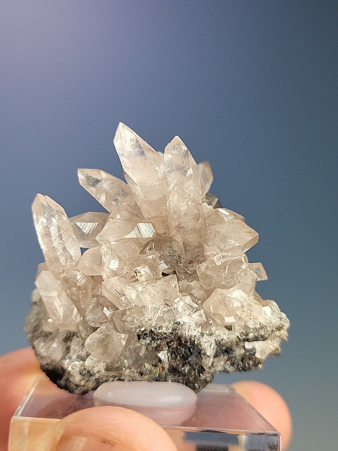 SHOWY Smithsonite, Tsumeb Mine, Namibia. (Small Cab) Ex Soregaroli, Gazmuri…