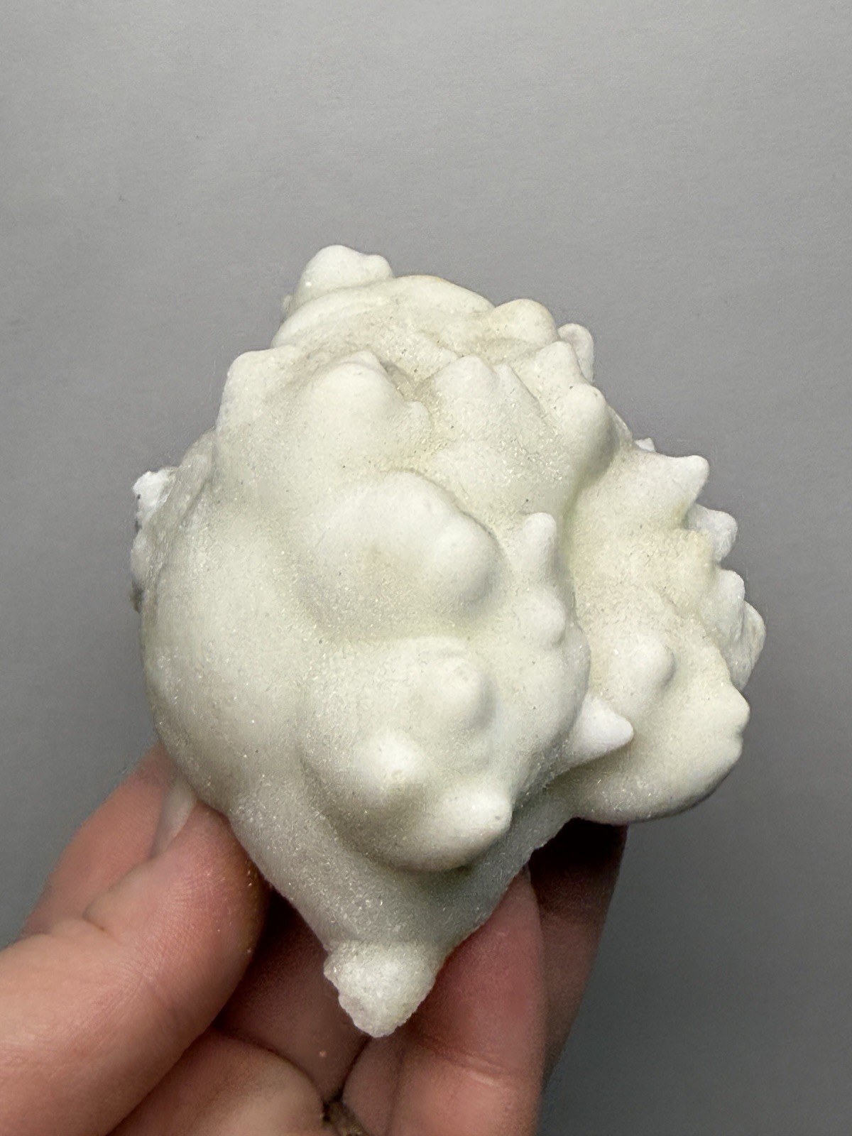 Superb White Flos Ferri Aragonite “Flower of Iron” | Lom Vitošov, Czech Republic