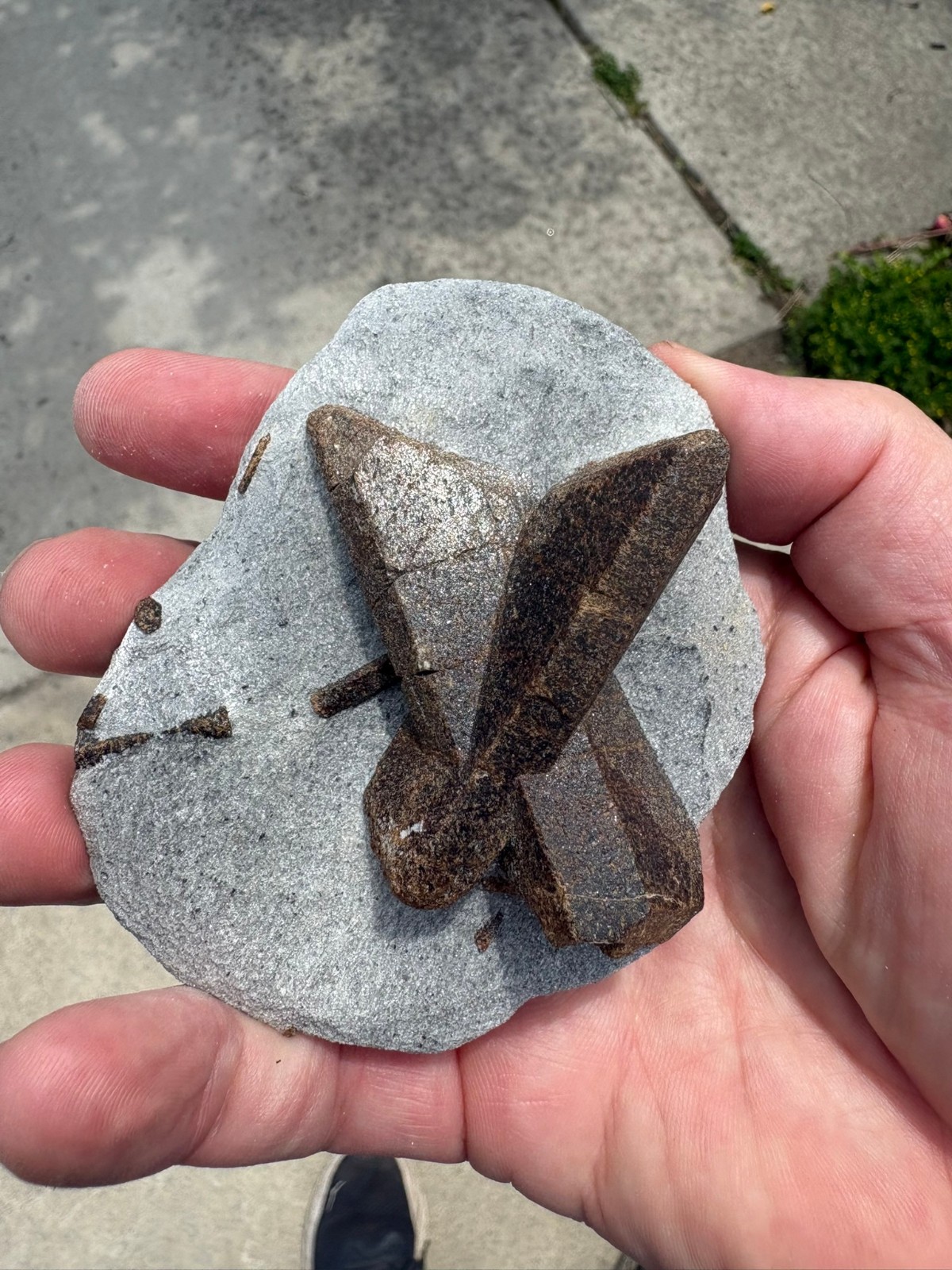 Staurolite, “fairy cross”, Keivy Mountains, Kola Peninsula, Russia