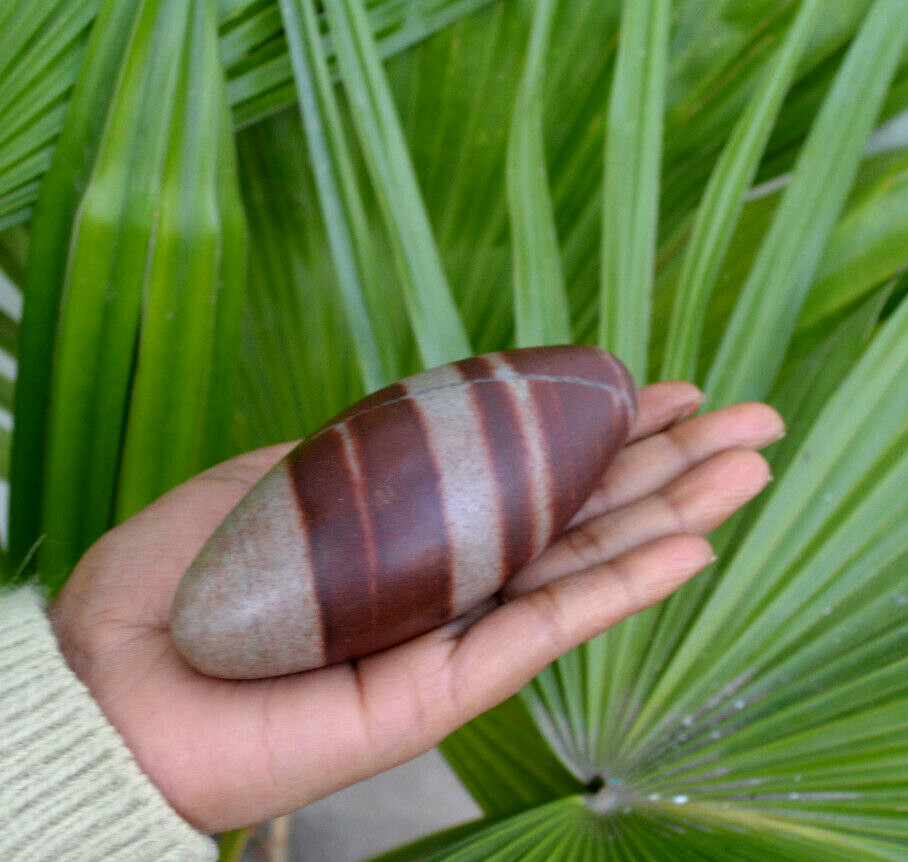 Shiva Lingam Polished Stone | Narmarda River Stone -1126