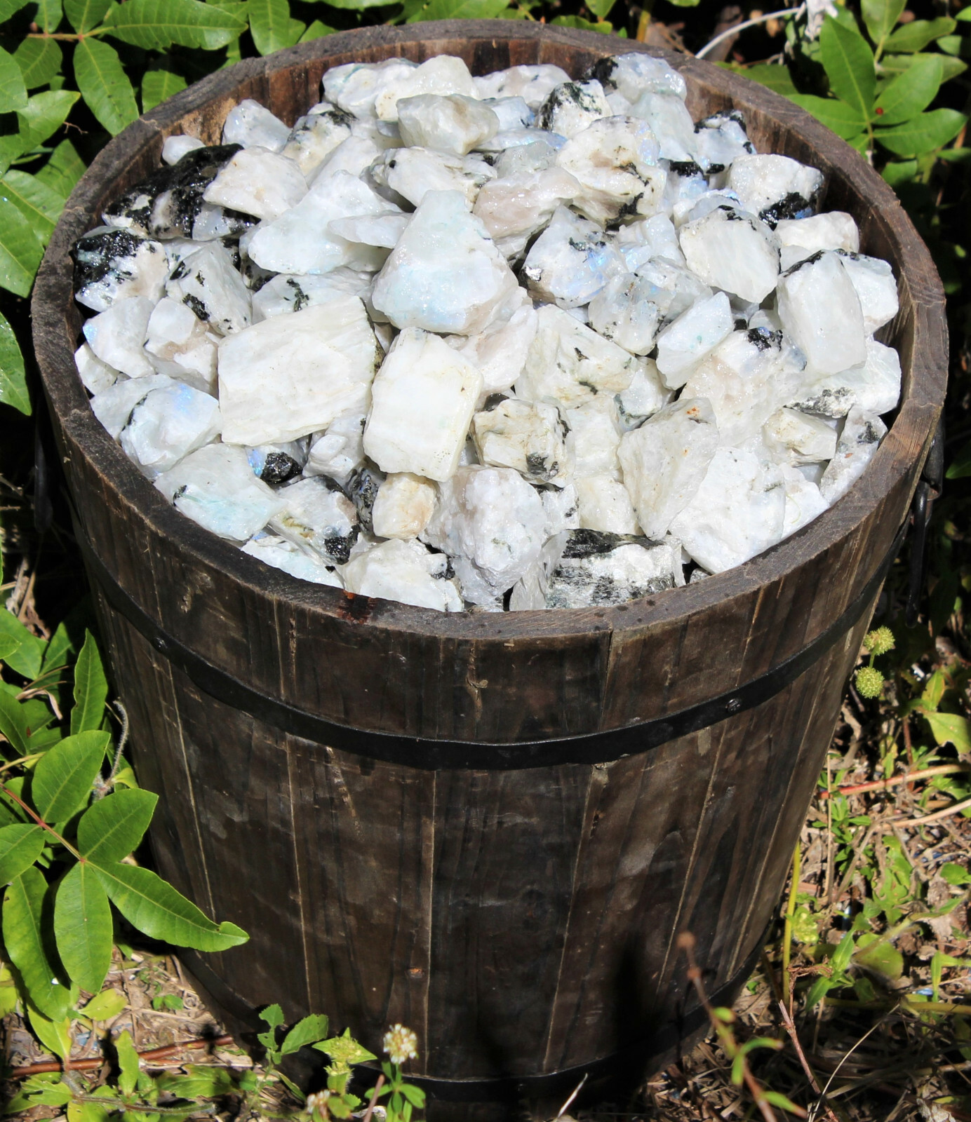 1/2 lb Bulk Lot Natural Rough Rainbow Moonstone Crystals (Raw Reiki Rocks 8 oz)