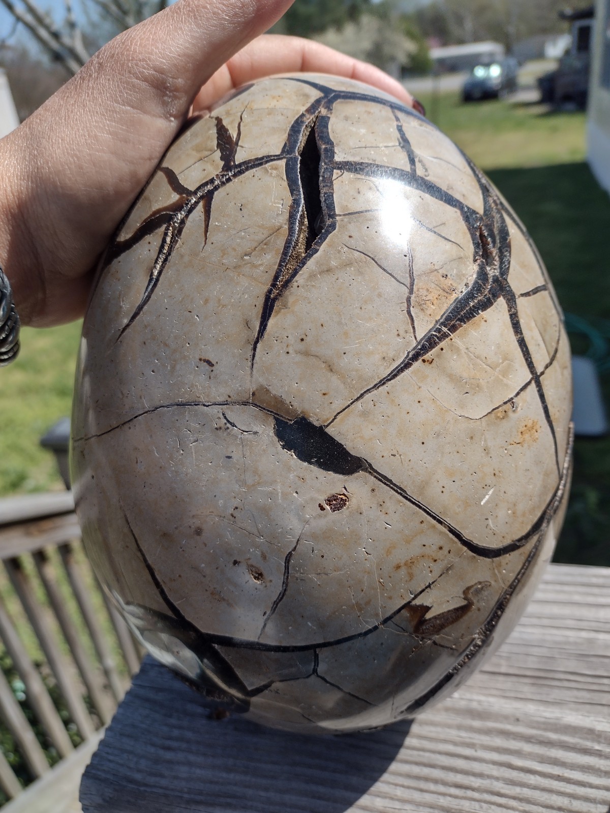 Huge Septarian Dragon Egg Over 15lbs Carving Crystal Stone Polished