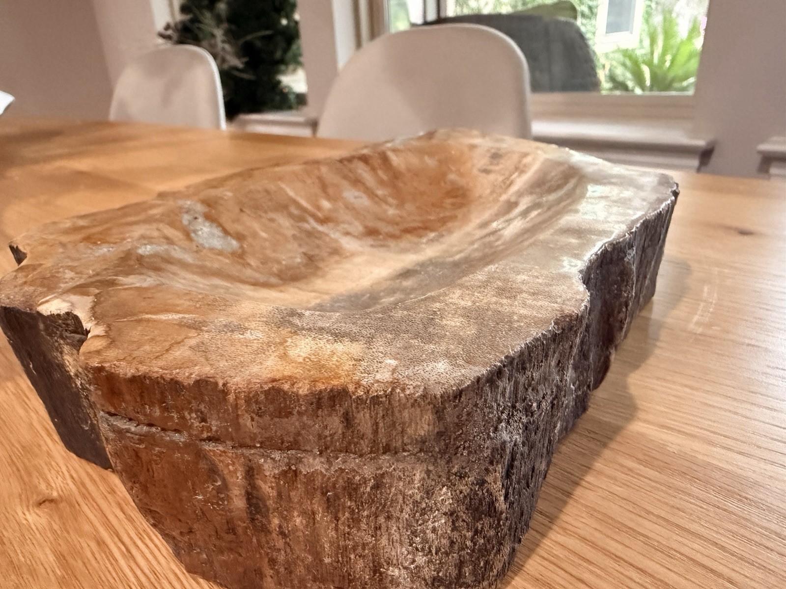 Large Petrified Wood carved And Polished Bowl 8.5 Amazing Statement Art