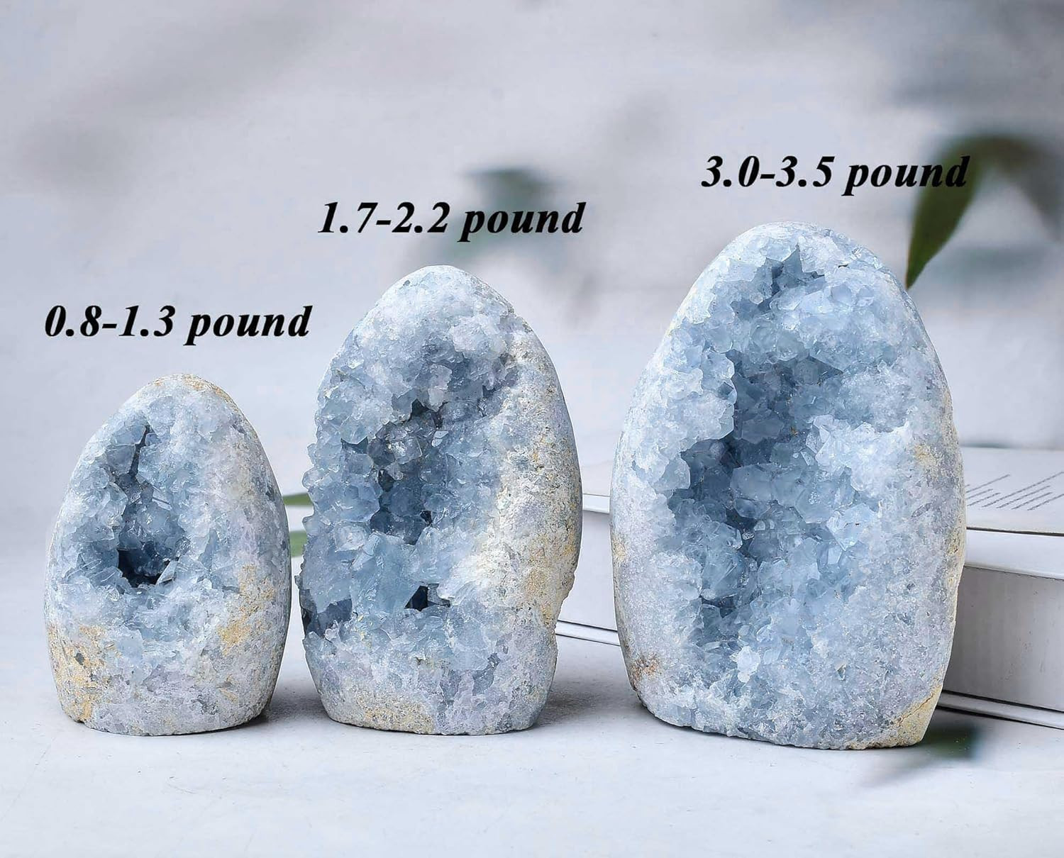 Natural Blue Celestite Cluster Geode Healing Crystal Stone Collection Mineral…