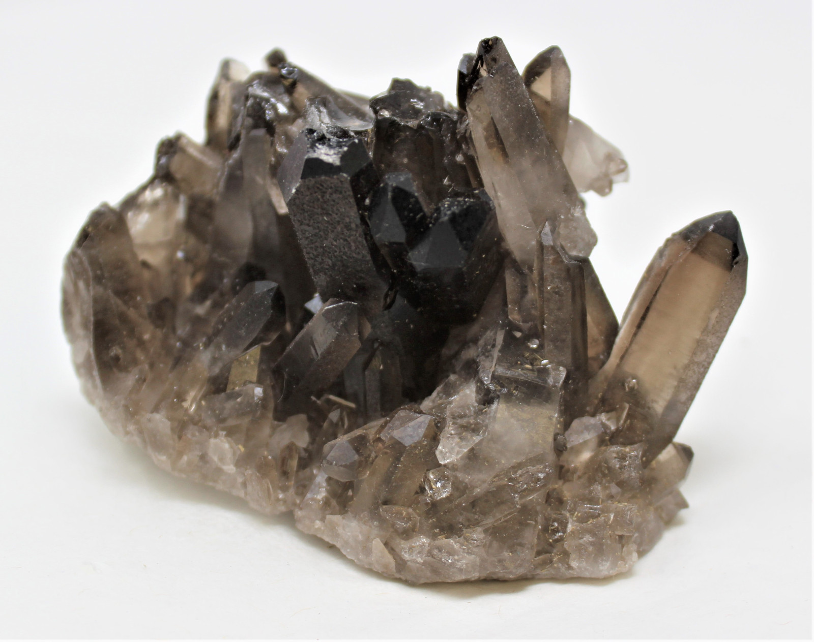 Smoky Quartz Crystal Cluster (3 – 4 oz) Natural Quartz Druze Geode Specimen