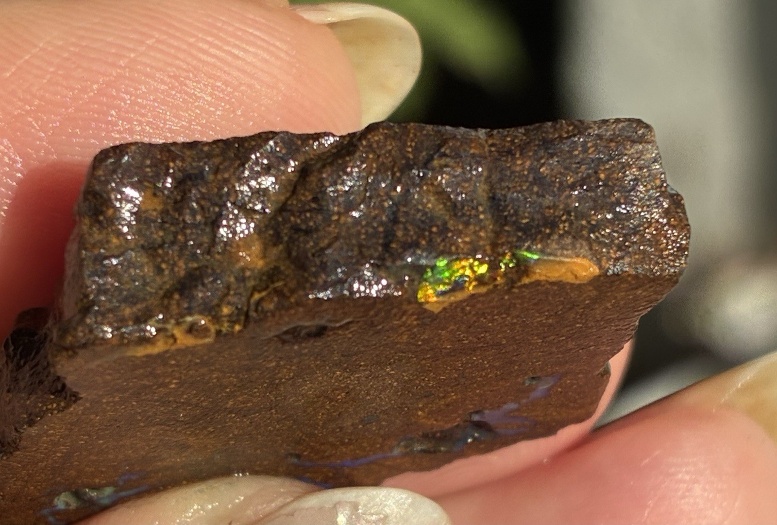 Pretty 47ct Australian Boulder Opal Rough Loose Multicolor Specimen PP