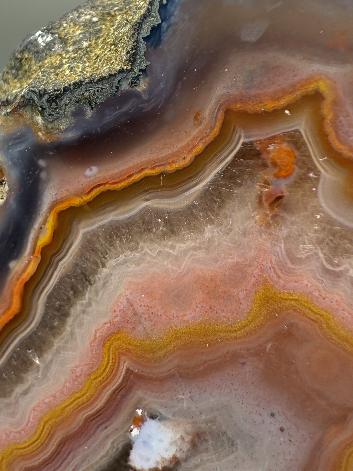 SEE VIDEO High-Grade Multicolor Moroccan Agate | High Atlas | Collector Specimen